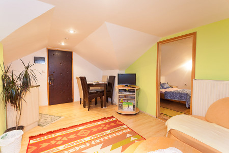 apartmani zlatibor planina apartman dabic 117