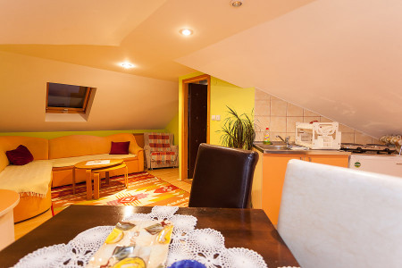 apartmani zlatibor planina apartman dabic 1175