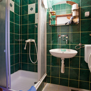 apartmani zlatibor planina apartman dabic 1033