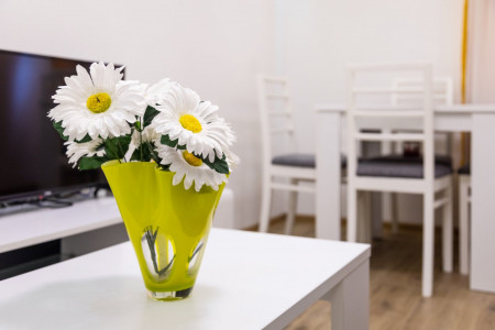 apartmani beograd vracar apartman mist3