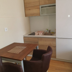 apartmani zlatibor planina apartman vila djukic 13
