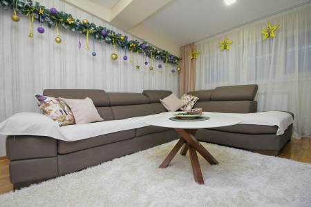 apartmani zlatibor planina apartman fenix22