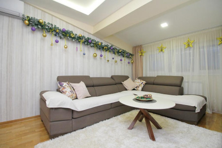 apartmani zlatibor planina apartman fenix24