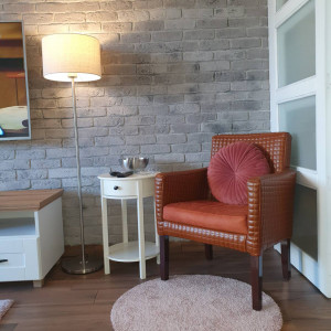 apartmani zlatibor planina apartman mira 19