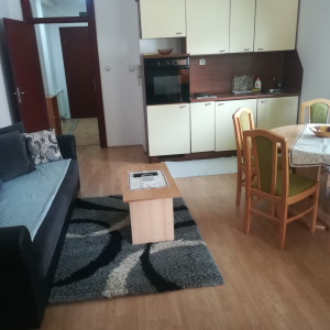 apartmani zlatibor planina apartman mira 42