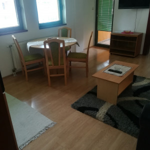 apartmani zlatibor planina apartman mira 44