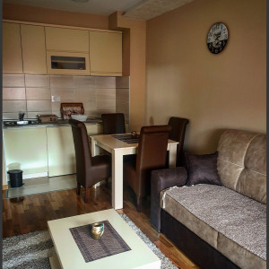 apartmani zlatibor okolno mesto apartman zara apartman zlatibor3