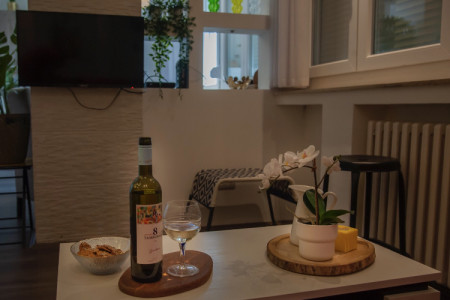 apartmani beograd centar apartman sensational view zemun5