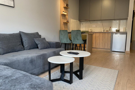 apartments novi sad rotkvarija apartment premium 15