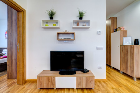 apartmani zlatibor planina apartman tana10