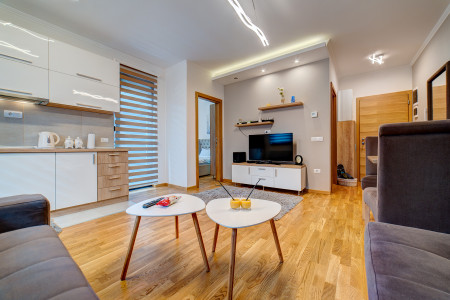 apartments zlatibor planina apartment aroma 1011