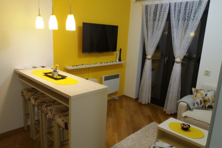 apartmani zlatibor planina apartman ivan6