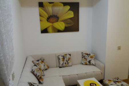 apartmani zlatibor planina apartman ivan9