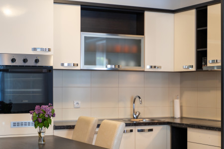 apartments zlatibor planina apartment vukan petica11