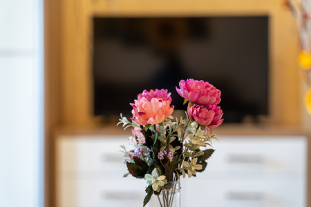 apartments zlatibor planina apartment gondola 1721