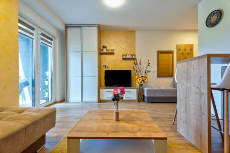 apartments zlatibor planina apartment gondola 179