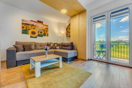 apartmani zlatibor planina apartman gondola 1711