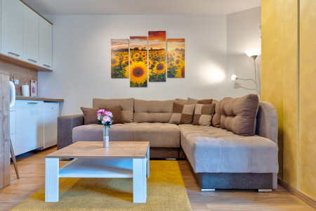 apartmani zlatibor planina apartman gondola 177