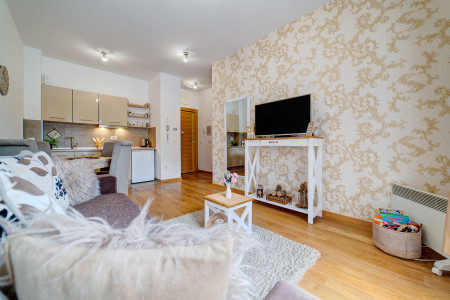 apartments zlatibor planina apartment elsa s57