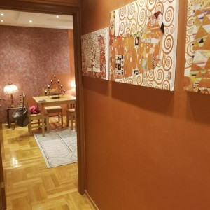 apartmani novi sad telep apartman alexandra5