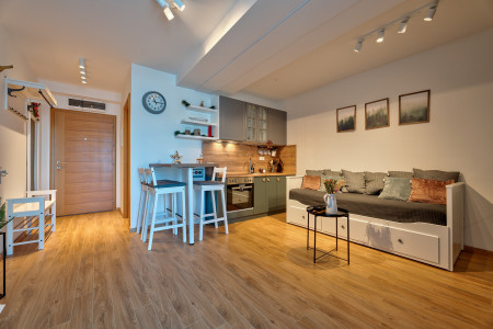 apartmani zlatibor planina apartman pogled19