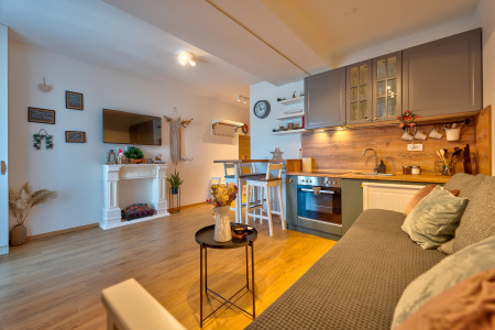 apartmani zlatibor planina apartman pogled20