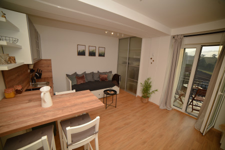 apartmani zlatibor planina apartman pogled23