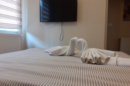 apartmani zlatibor okolno mesto apartman vila djukic 55