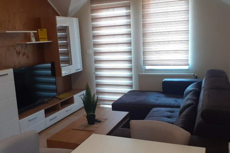 apartmani zlatibor planina apartman vila djukic 54