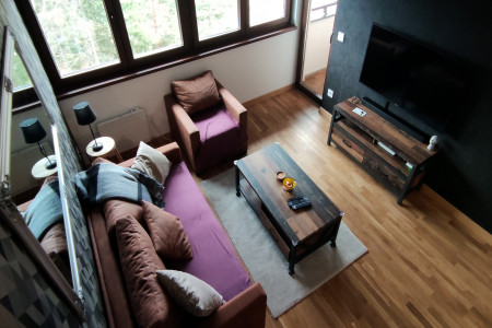 apartmani zlatibor okolno mesto apartman miris breza11