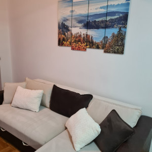 apartments zlatibor planina apartment dragicevic3