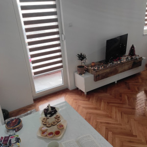 apartmani novi sad salajka apartman bor25