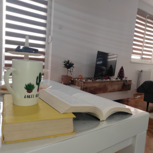 apartmani novi sad salajka apartman bor28