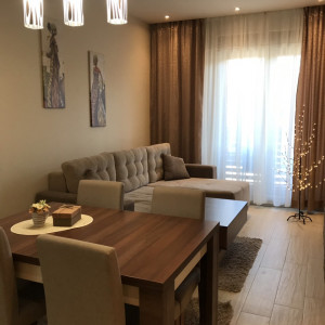 apartments zlatibor planina apartment sladojevic13