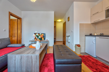 apartmani zlatibor planina apartman paramaribo 111