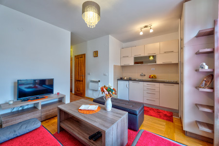 apartmani zlatibor planina apartman paramaribo 112