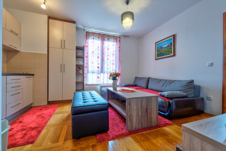 apartmani zlatibor planina apartman paramaribo 13