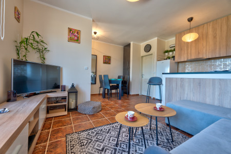 apartmani zlatibor okolno mesto apartman hills 211