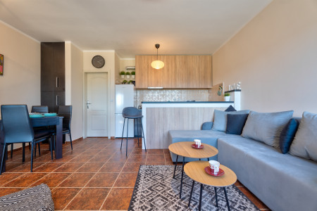 apartmani zlatibor okolno mesto apartman hills 29