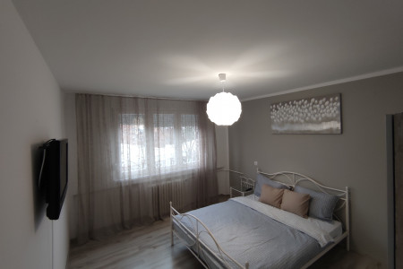 apartmani novi sad adamicevo naselje apartman gris11