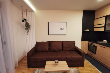 apartmani zlatibor okolno mesto apartman min lux zlatibor ii10