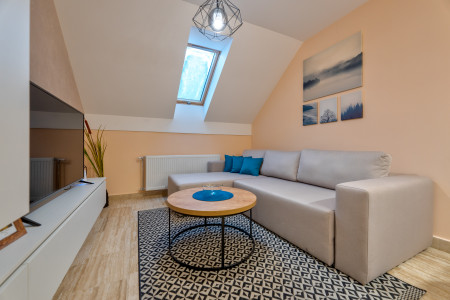 apartmani zlatibor planina apartman lotus zlatibor 23