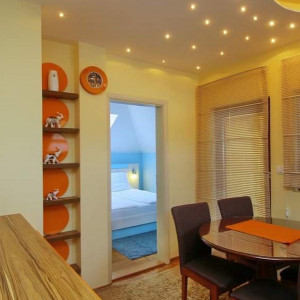 apartmani zlatibor okolno mesto apartman bella vita apartman zlatibor4