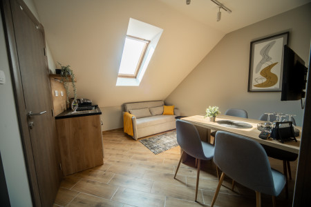 apartmani novi sad adamicevo naselje apartman manoir apartmani s1