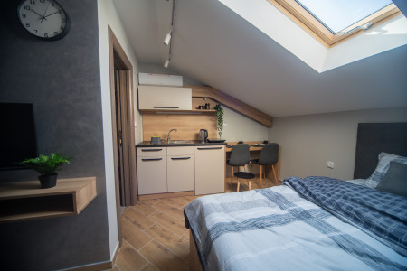 apartmani novi sad adamicevo naselje apartman manoir apartmani s43