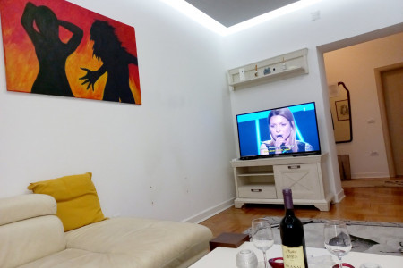 apartments beograd centar apartment saska2