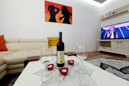 apartmani beograd centar apartman saska4