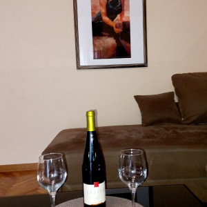 apartmani beograd centar apartman saska 233