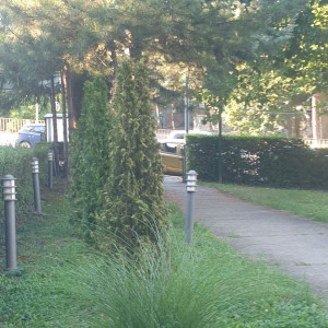 apartmani beograd centar apartman vila club 011 apartman 24