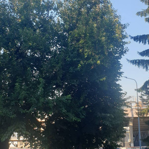 apartments beograd centar apartment vila club 011 apartman 44